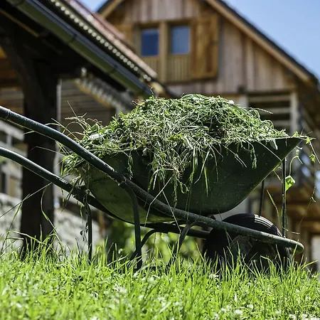 Nastanitev v družini Kalska Domacija *